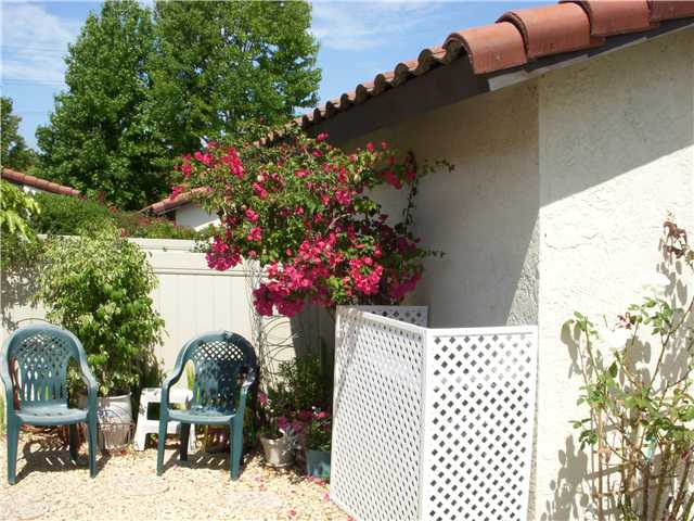 269 Peckham Pl, Encinitas, CA 92024 photo 2