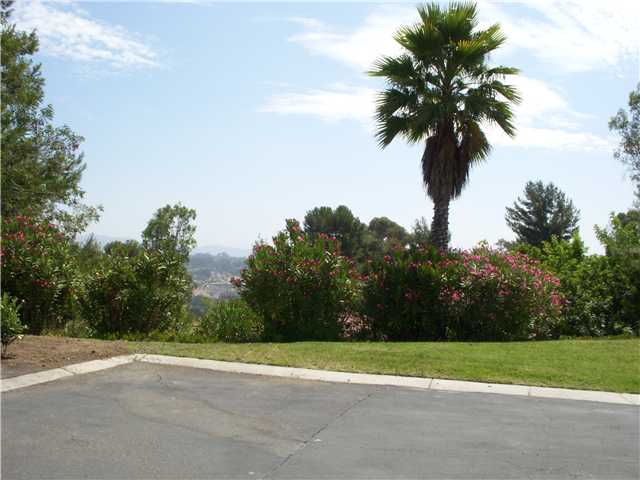 269 Peckham Pl, Encinitas, CA 92024 photo 6
