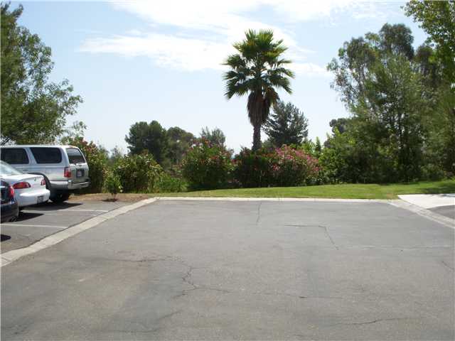 269 Peckham Pl, Encinitas, CA 92024 photo 5