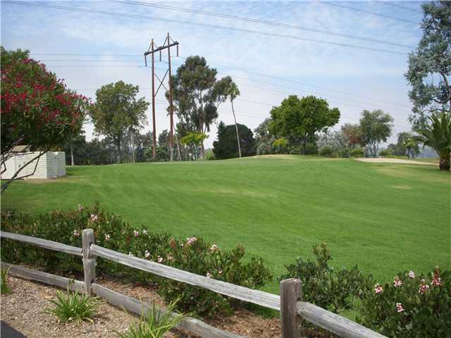 269 Peckham Pl, Encinitas, CA 92024 photo 24