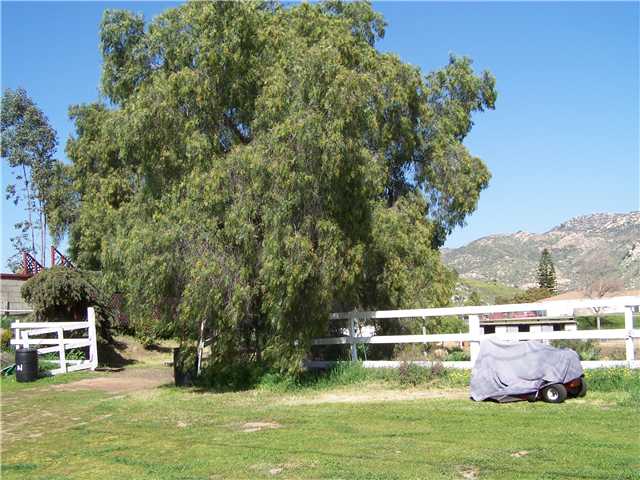 11345 Posthill Rd, Lakeside, CA 92040 photo 23