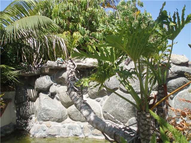 737 Rivertree Dr, Oceanside, CA 92058 photo 7