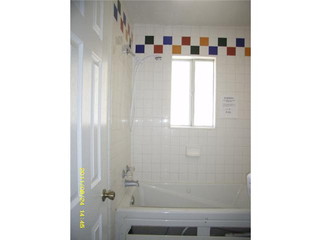 9145 Chris Ln, Guatay, CA 91931 photo 12