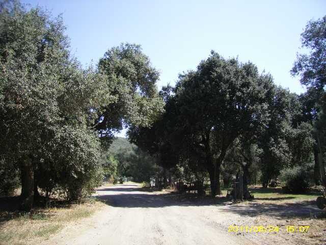 9145 Chris Ln, Guatay, CA 91931 photo 19