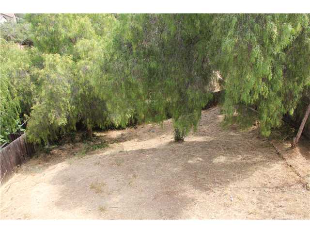 1429 Cuyamaca Ave, Spring Valley, CA 91977 photo 10