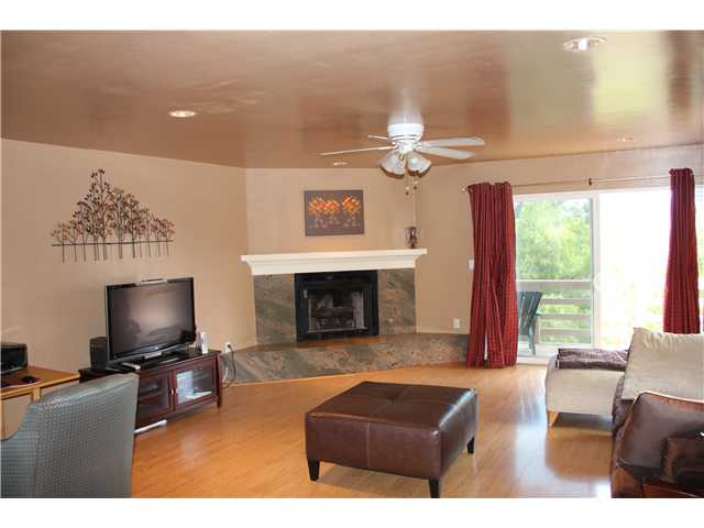 1429 Cuyamaca Ave, Spring Valley, CA 91977 photo 3
