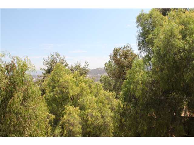 1429 Cuyamaca Ave, Spring Valley, CA 91977 photo 11