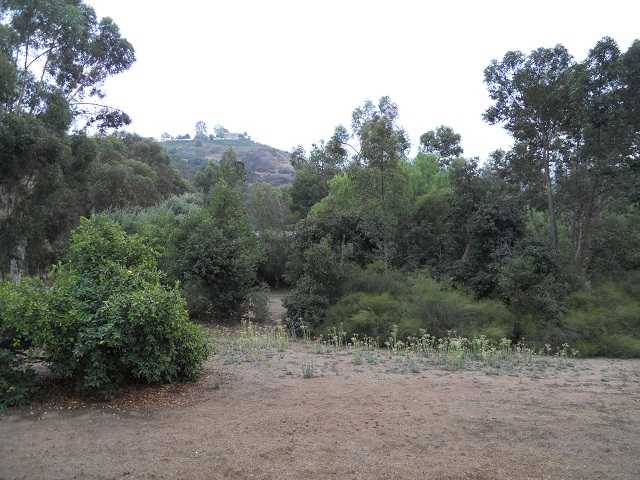 3603 Pico Rd, Vista, CA 92084 photo 10