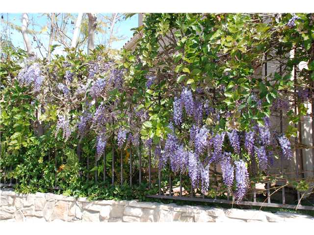 602 Navigator Ct, Carlsbad, CA 92011 photo 17