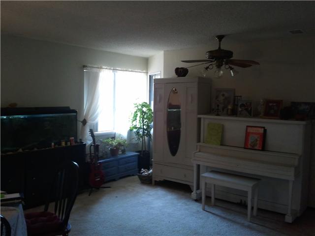 315 Galloway Valley Rd, Alpine, CA 91901 photo 8