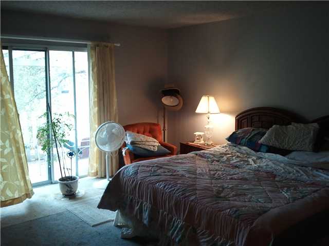 315 Galloway Valley Rd, Alpine, CA 91901 photo 10