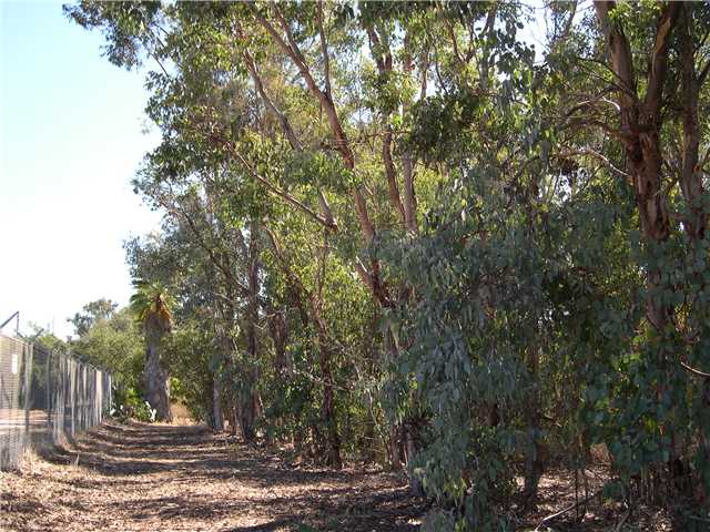 701 Maravilla Ln, Fallbrook, CA 92028 photo 21