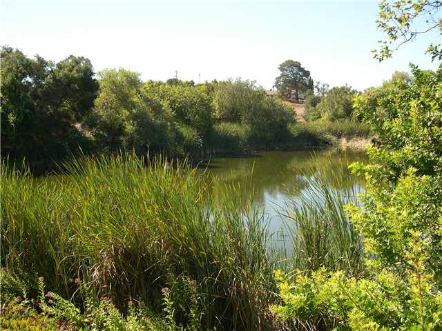701 Maravilla Ln, Fallbrook, CA 92028 photo 14