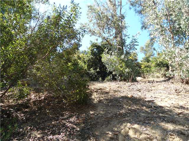 40278 Daily Rd, Fallbrook, CA 92028 photo 10