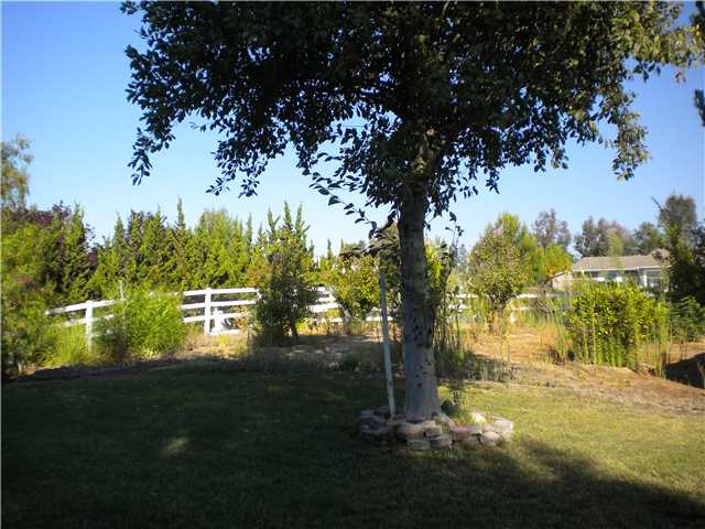 29090 Via Norte Dr, Temecula, CA 92591 photo 5