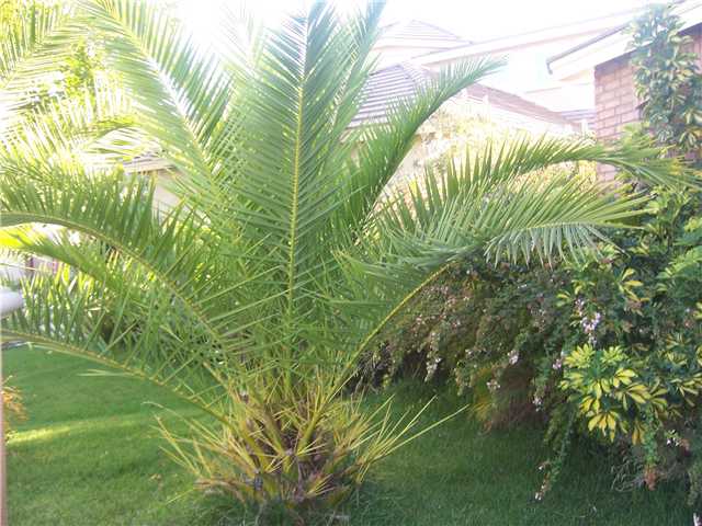 43817 Camino Gallegos Loop, Temecula, CA 92592 photo 8