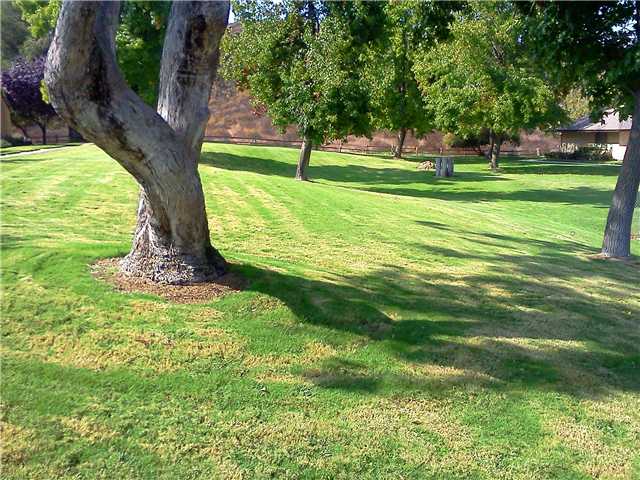8710 Wahl St, Santee, CA 92071 photo 10