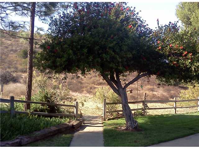 8710 Wahl St, Santee, CA 92071 photo 4
