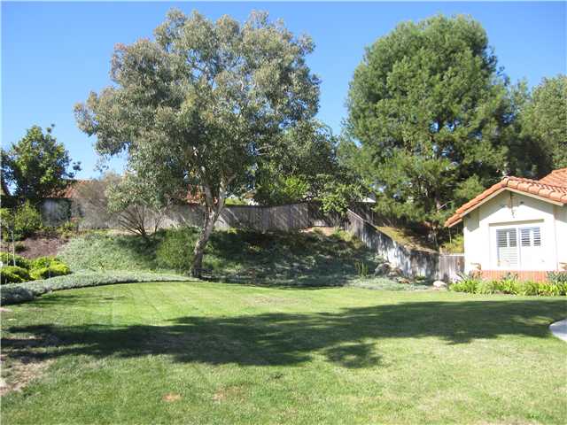 1611 Cirque Ct, Encinitas, CA 92024 photo 2