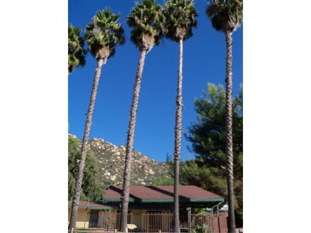 3180 Rainbow Valley Blvd, Fallbrook, CA 92028 photo 5