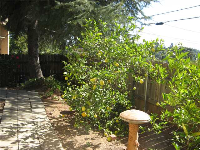 301 Ivy Ter, Fallbrook, CA 92028 photo 11