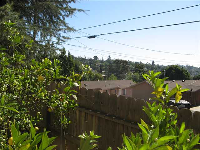 301 Ivy Ter, Fallbrook, CA 92028 photo 12