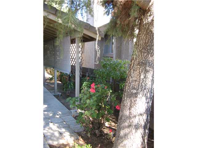 301 Ivy Ter, Fallbrook, CA 92028 photo 13