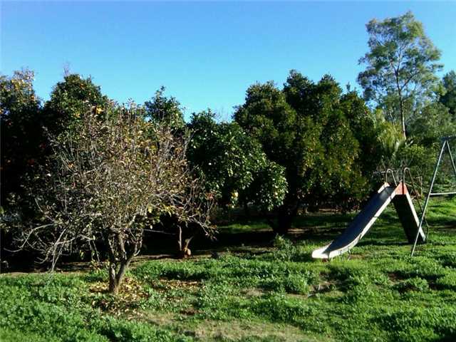 13776 Whispering Meadows Ln, Jamul, CA 91935 photo 3
