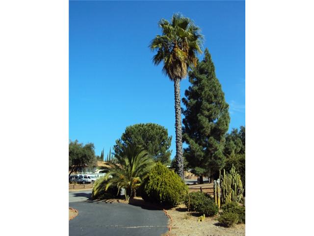 2939 Viejas View Pl, Alpine, CA 91901 photo 3