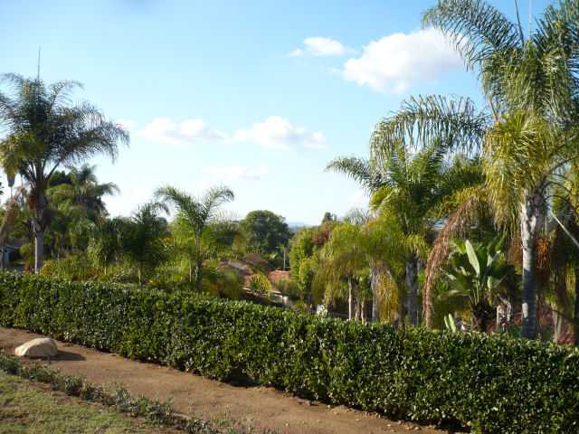 1217 Eucalyptus Ave, Vista, CA 92084 photo 15