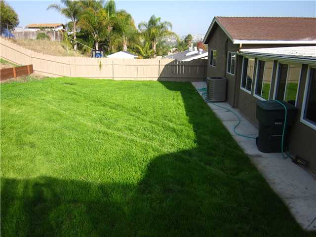 8810 Hillslope Ave, Spring Valley, CA 91977 photo 9