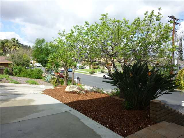 697 Skyview St, El Cajon, CA 92020 photo 21