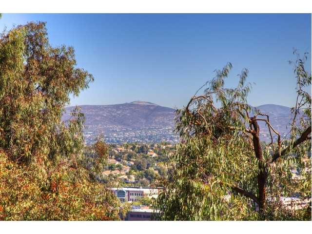 449 Via Ultimo, Encinitas, CA 92024 photo 13