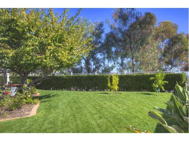 449 Via Ultimo, Encinitas, CA 92024 photo 22