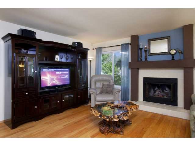 449 Via Ultimo, Encinitas, CA 92024 photo 4