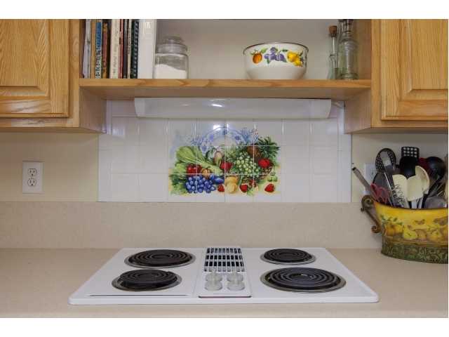 449 Via Ultimo, Encinitas, CA 92024 photo 8