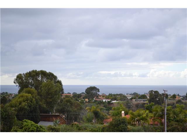 220 Via Tierra, Encinitas, CA 92024 photo 19