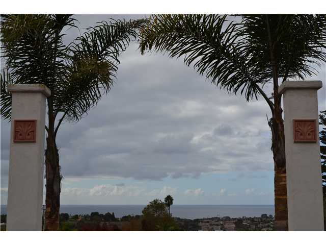 220 Via Tierra, Encinitas, CA 92024 photo 18