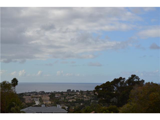 220 Via Tierra, Encinitas, CA 92024 photo 20