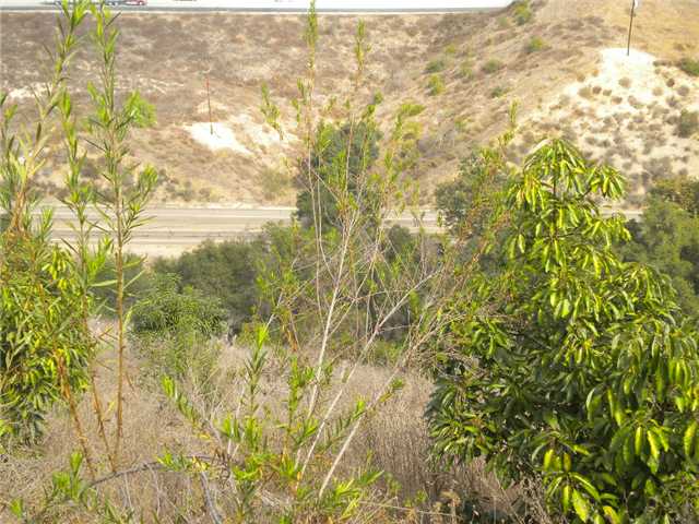 4022 Crest Hts, Fallbrook, CA 92028 photo 10