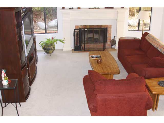 1725 Avenida La Posta Dr, Encinitas, CA 92024 photo 8