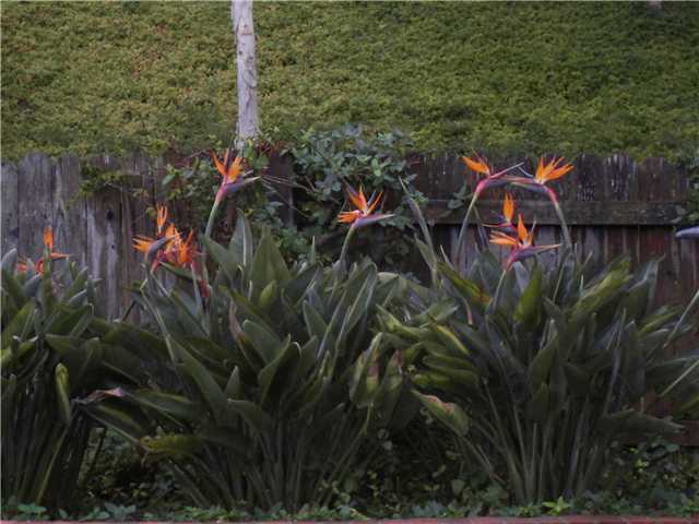 5365 Gooseberry Way, Oceanside, CA 92057 photo 19