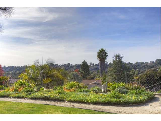 1628 Mapleleaf Ct, Encinitas, CA 92024 photo 4