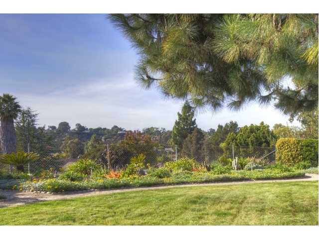 1628 Mapleleaf Ct, Encinitas, CA 92024 photo 6