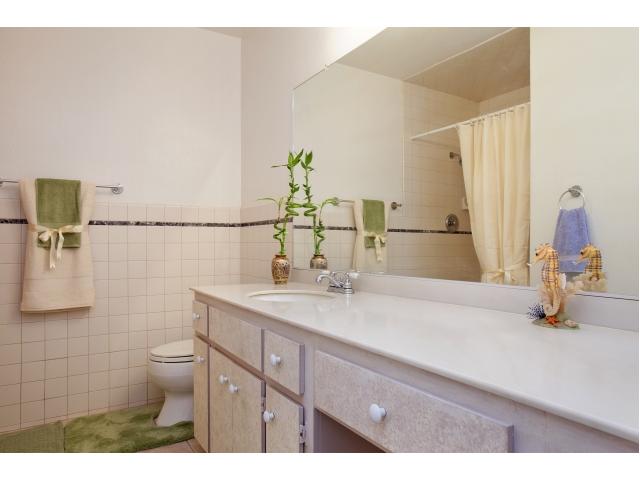 1628 Mapleleaf Ct, Encinitas, CA 92024 photo 21