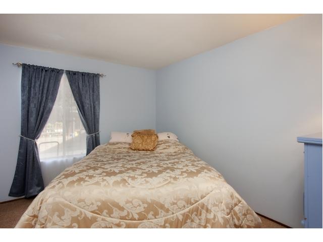 1628 Mapleleaf Ct, Encinitas, CA 92024 photo 22
