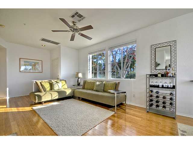 541 Sweet Pea Pl, Encinitas, CA 92024 photo 4