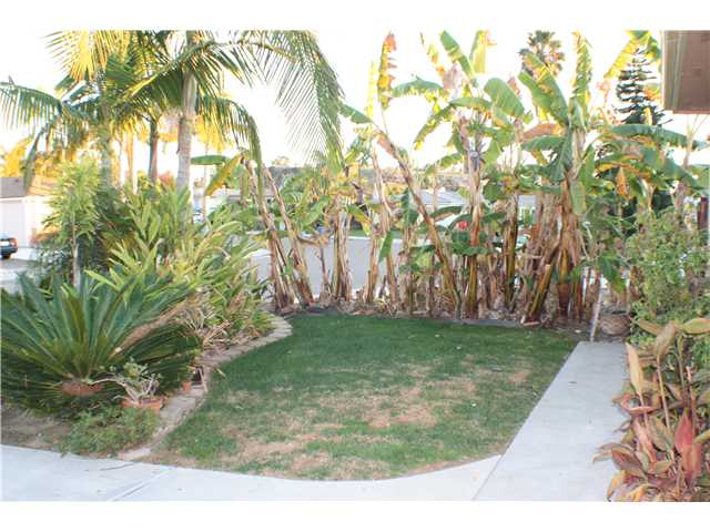 212 Coneflower St, Encinitas, CA 92024 photo 14