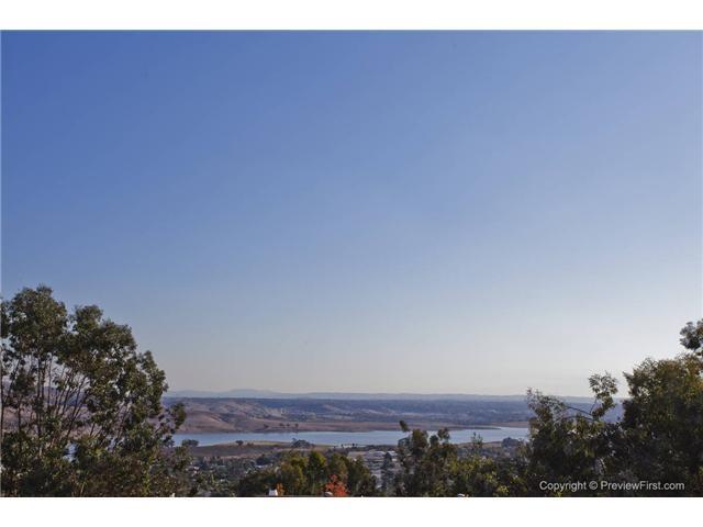 1642 San Miguel Ave, Spring Valley, CA 91977 photo 22