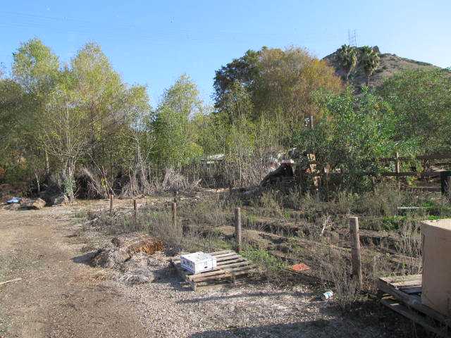 13120 Willow Rd, Lakeside, CA 92040 photo 3